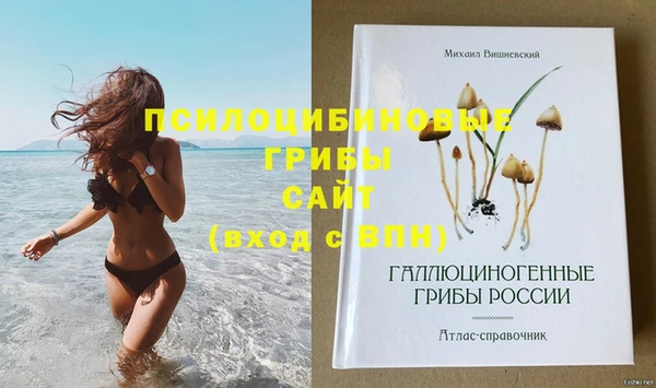 хмурый Верхнеуральск