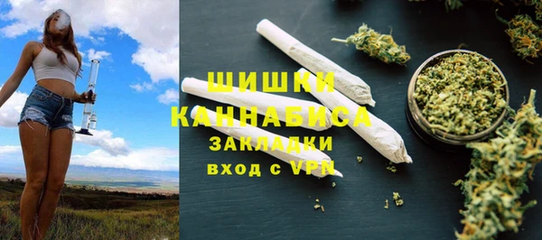 дживик Верея