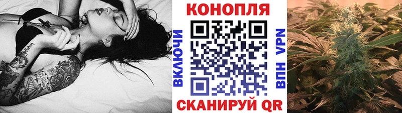 Купить Борисоглебск Конопля ГИДРОПОН